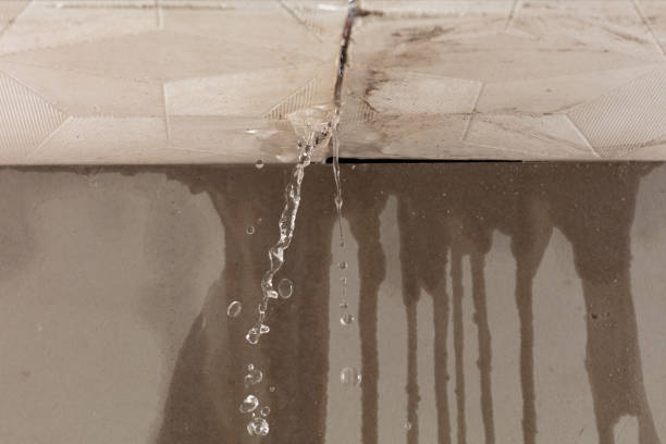 Professional Structural Drying technician working in Bridgeport, NY